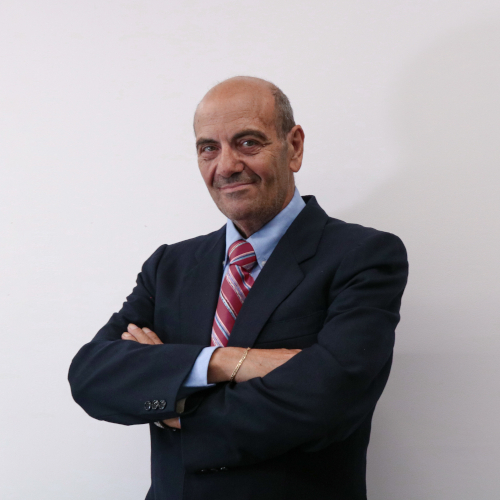 Dott. Ing. Mario Corsi